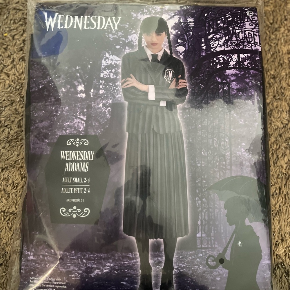 🆕 Wednesday Adam’s Costume